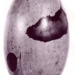 Lingam. Stone