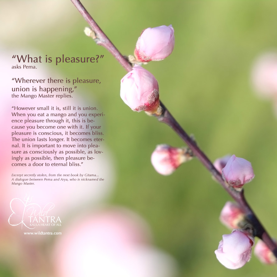What-is-pleasure